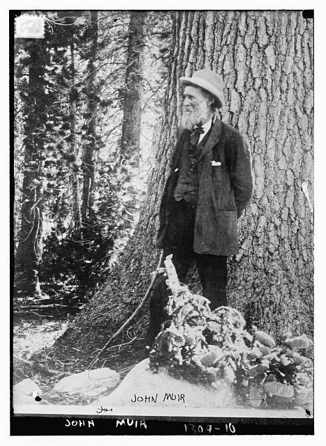 Image Credit: John Muir. Photographer unknown. Library of Congress. Link Here.